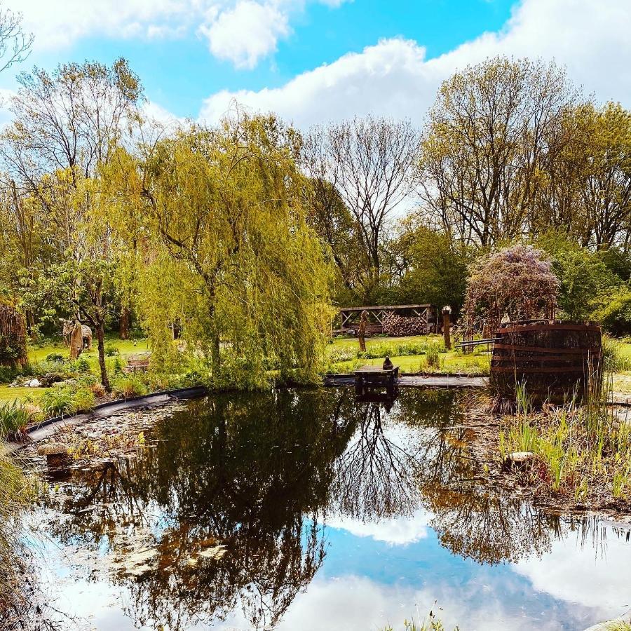 Reijgershof Bed & Breakfast Amsterdam Dış mekan fotoğraf