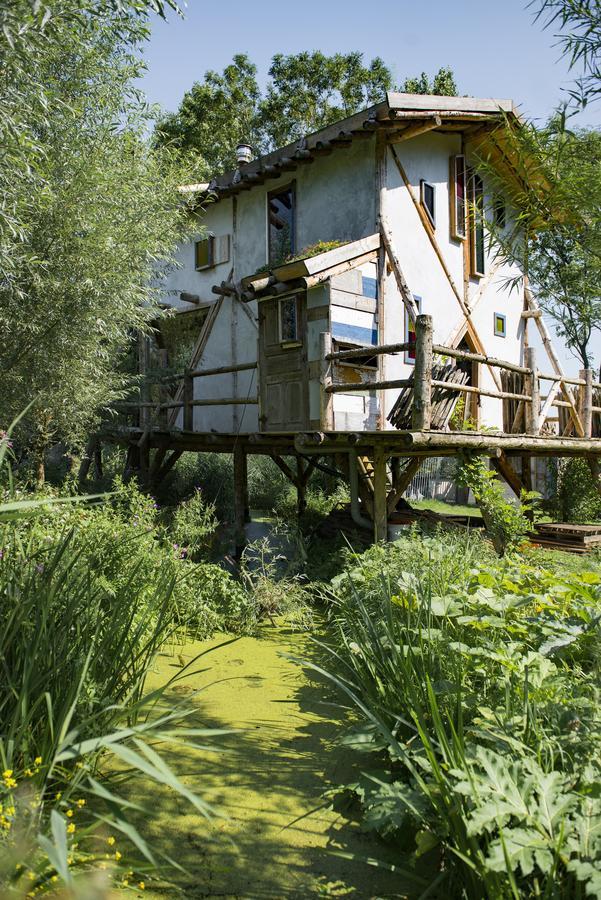 Reijgershof Bed & Breakfast Amsterdam Dış mekan fotoğraf